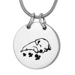 Stainless Steel Pet Urn Necklace